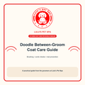 Doodle Between-Groom Coat Care Guide